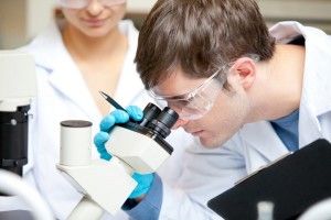 Коцан просить в обласної ради премії для науковців