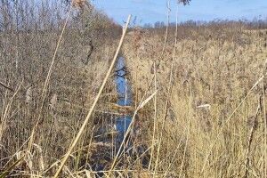 У якому стані перебувають меліоративні канали на Ковельщині