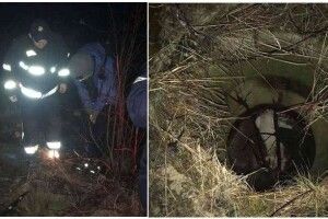 У Луцьку працівники ДСНС врятували собаку з триметрової глибини (Фото)