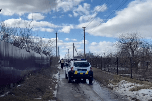 Матір трьох дітей розтрощила голову сокирою колишньому чоловіку (Відео)