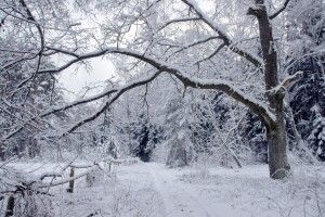 Якою буде погода на Волині у найближчі дні