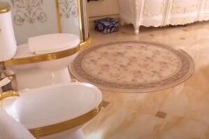 В особняку російського полковника знайшли золотий туалет (Відео)