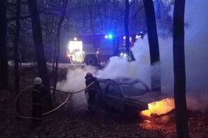 У лісі на Рівненщині згорів позашляховик (Фото)