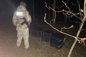 На Волині прикордонники виявили 10 ящиків цигарок у лісі (Фото)
