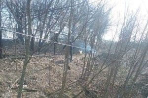 Ще одного лучанина оштрафують за спалювання гілок