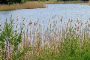 33-річний чоловік загинув під час браконьєрства 