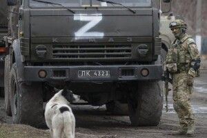 У Сумській області знайшли трьох закатованих мирних жителів