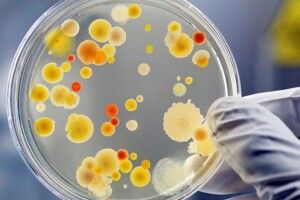 У Луцькому дитсадку  наймолодших вихованців атакував ротавірус
