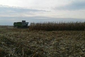 Ковельські аграрії продовжують збір пізніх зернових