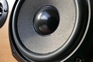 Чи знайдуть горохівські поліцейські викрадача дорогої музичної колонки?