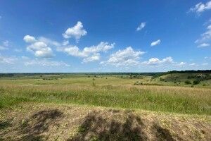 Держгеокадастр продає ботанічну пам'ятку природи під ріллю 