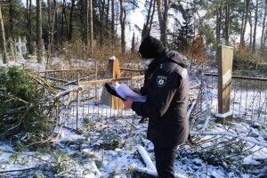 Чоловік пошкодив 15 могил, коли рубав на кладовищі новорічні дерева для продажу  (Фото, відео)