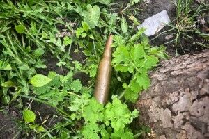 Лучанин знайшов на вулиці ймовірний боєприпас