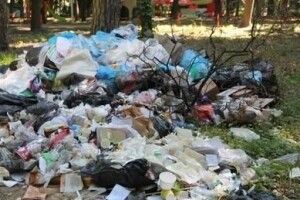 Жителів Рожищенщини оштрафували за сміття