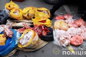 Спіробітники рибохорони промишляли браконьєрством: забили бобра, застрелили лося, ще й наглушили мішок риби (Фото)
