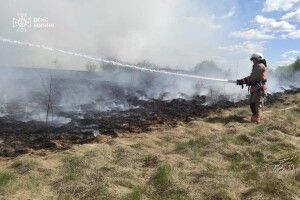 На Волині вогонь знищив 5 гектарів землі