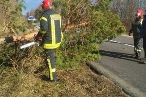 Стрімкий вітер, що дме на Волині, у неділю вдвічі зменшить свою силу