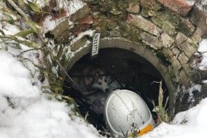 Бійці ДСНС врятували з халепи хвостатого красеня (Фото)