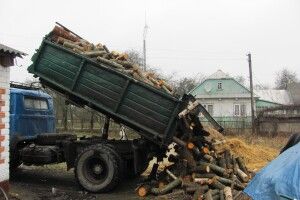 Волинянин допоміг звільненому із полону бійцю машиною дров (Фото)