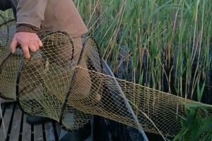 У нацпарку на Волині вилучили браконьєрські сітки та ятері 
