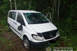 На Рівненщині мікроавтобус злетів у кювет — двоє постраждалих