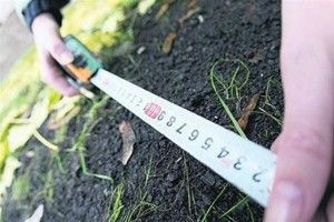 На Турійщині вирішать, що робити з п’ятьма земельними ділянками