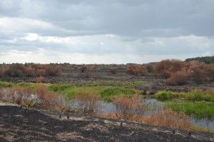 Білоруси відкрили для туристів Чорнобильську зону відчуження (Відео)