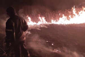 На Горохівщині серед ночі рятувальники боролися з вогнем на площі 0,5 га (Відео) 