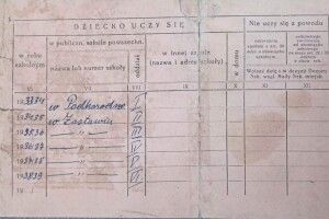 Як один рядок у шкільній метриці розкрив драму волинської родини