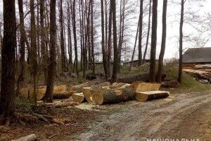 У Ковельському районі дільничний знайшов на пилорамі понад 40 колод без документів
