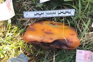  У мешканця Рівненщини вилучили майже 2-кілограмовий камінь бурштину (Фото)