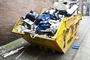 Французи зацікавилися нашим сміттям