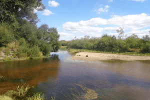 Травень, якого ще не було: синоптики фіксують холод і дефіцит води на Волині