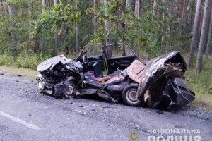 Машину зім’яло, як бляшанку: на Волині в жахливій ДТП загинув водій (Фото)