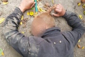 На Київщині 16-річна дівчина заявила, що у лісі її побив та зґвалтував рідний батько