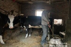 Поселила в хліві з худобою і погрожувала: судитимуть волинянку, що утримувала людей в трудовому рабстві