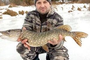Волинянин витягнув з-під криги щучиху-гігантиху