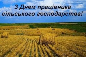 Чудова новина до свята аграріїв: українські селекціонери збільшили врожайність пшениці в 2 рази