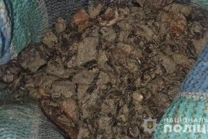 В автівці волинянина поліцейські знайшли кілограм бурштину