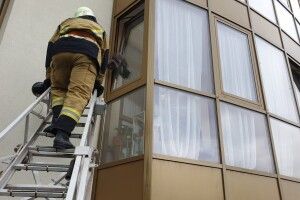 На Закарпатті довелося проводити рятувальну операцію з порятунку кота, який застряг у прочиненому «на провітрювання» вікні (фото)