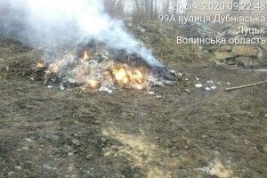 Лучанина покарали за спалювання сміття 