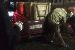 Зловили дикого кабана, який понад добу розгулював центром міста