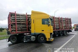 На Рівненщині 22-річний водій «Renault Megane» вирішив помірятися силами з лісовозом (Фото)