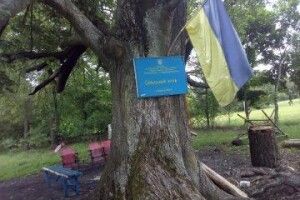 У Березній Волі на Волині клуб облаштували... під деревом