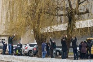 Людям свято, а вербам – лихо! (Фото)