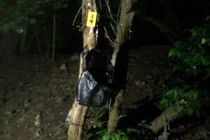 Іноземець зґвалтував 15-річну дівчинку