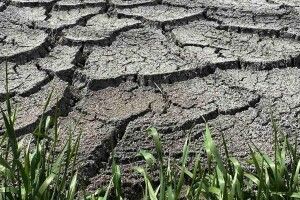 «Луцькводоканал» першим в Україні вироблятиме органічне добриво з біомулу