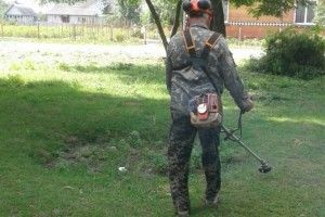 Цуманські лісівники облагородили місцевий сквер