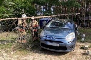 На Волині біля озера на авто впало дерево