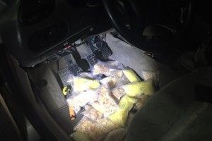 На кордоні з Польщею вилучено 8,5 кг бурштину (Відео)